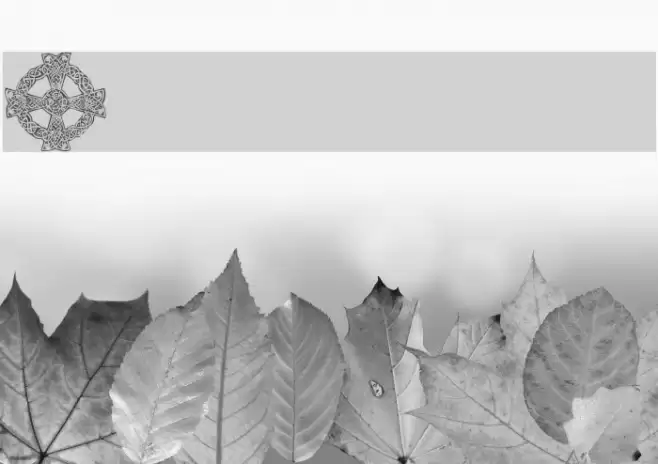 101! Celtic DeZignZ Font examples