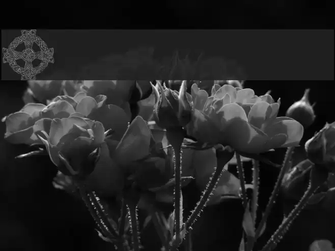 101! Celtic DeZignZ Font examples