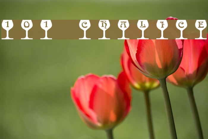 101! Chalice Example 3