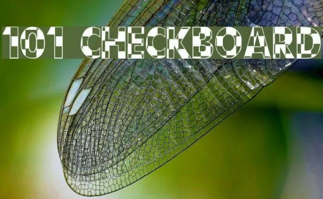 101! CheckBoard Example 2