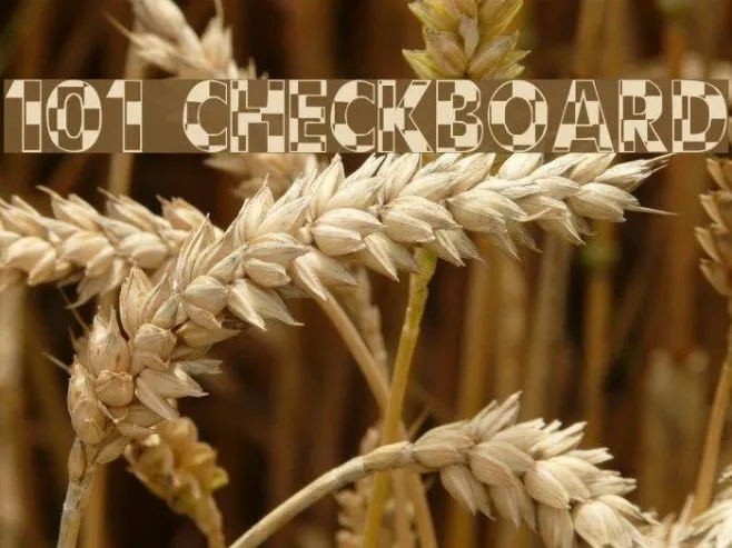 101! CheckBoard Example 3