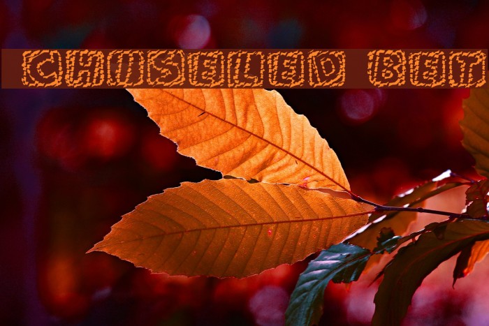 101! Chiseled 'Bet Example 3