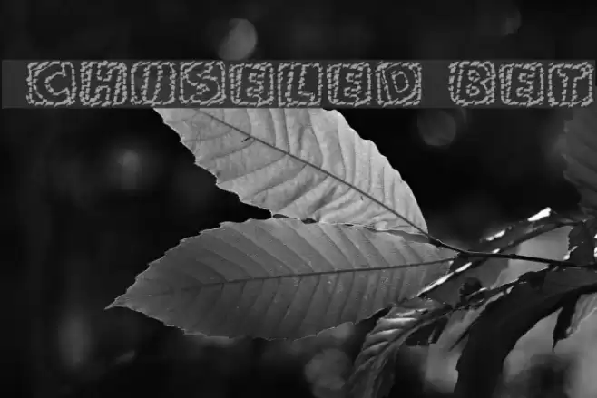 101! Chiseled 'Bet Font examples