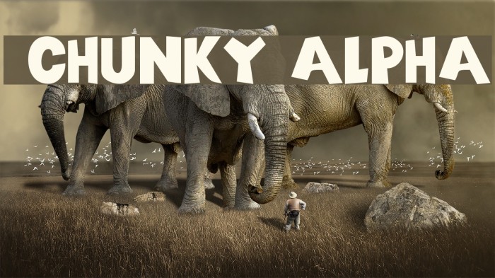 101! Chunky Alpha Font examples