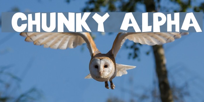 101! Chunky Alpha Font examples