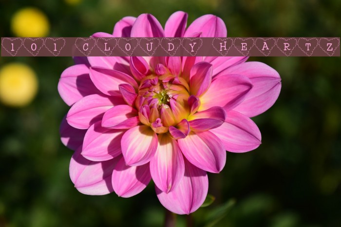 101! Cloudy HeartZ Example 2