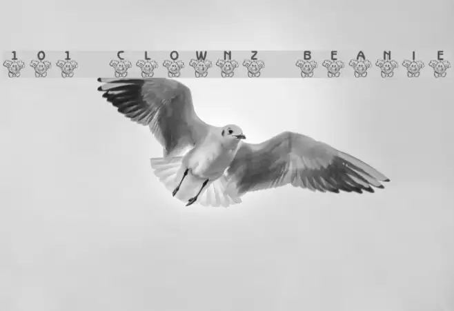 101! ClownZ Beanie Font examples