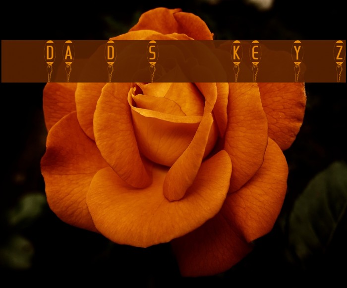 101! Dad's KeyZ Font examples