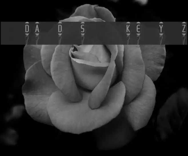 101! Dad's KeyZ Font examples