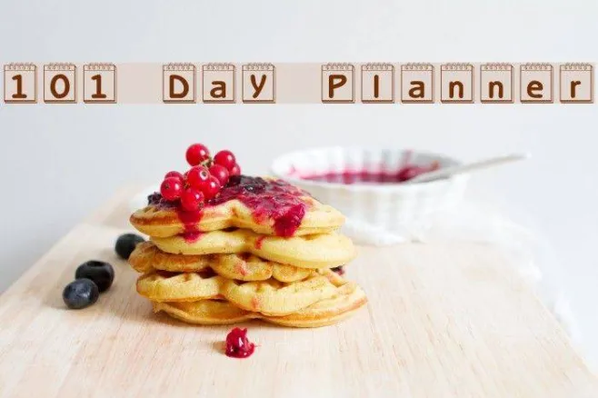 101! Day Planner Example 3