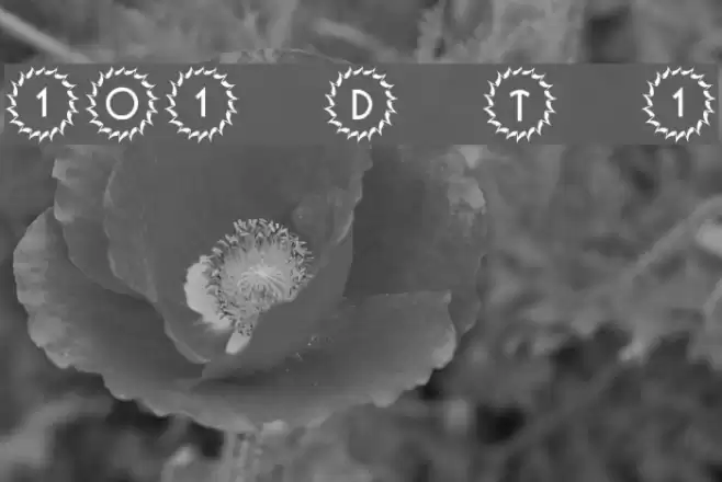 101! Deco Type 1 Font examples