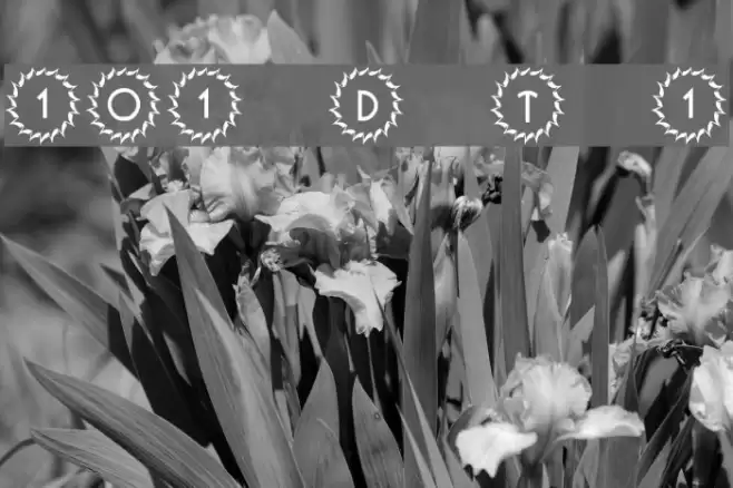 101! Deco Type 1 Font examples