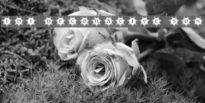 101! Decorative Sun Font examples