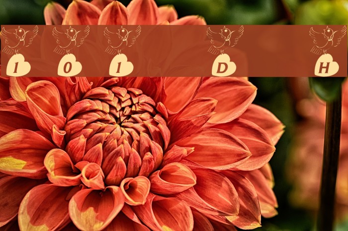 101! Doves Heart Font examples
