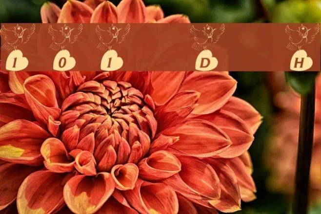 101! Doves Heart Example 1