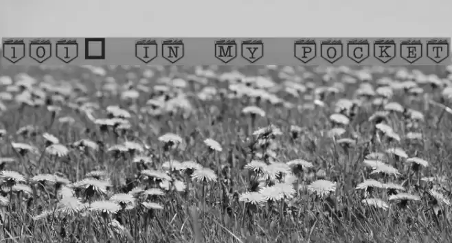 101! In My Pocket Schriftart examples
