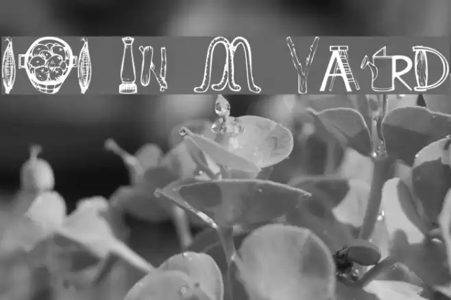 101 In My Yard Font examples