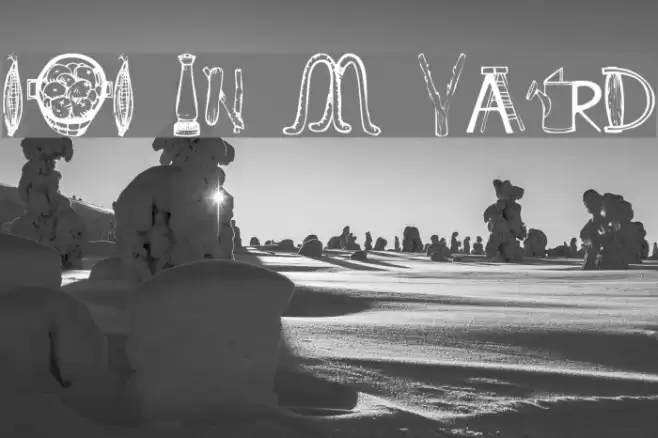 101 In My Yard Font examples