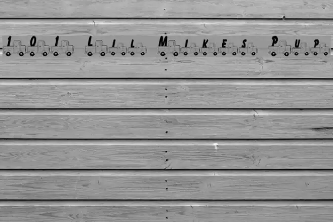 101 Lil Mikes Pup Шрифта examples