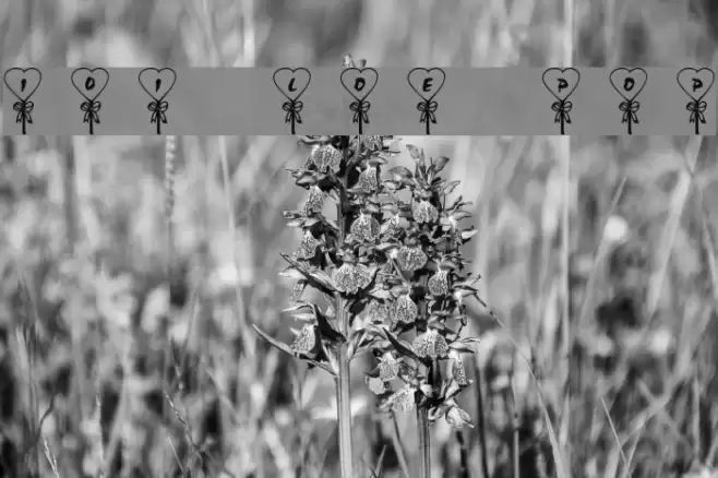 101! Love PoP Font examples