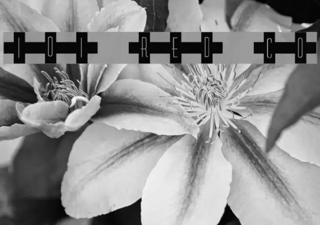 101! Red Cross Font examples