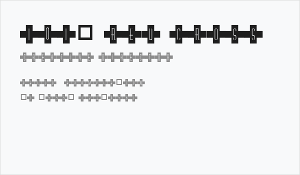 101! Red Cross Business Card