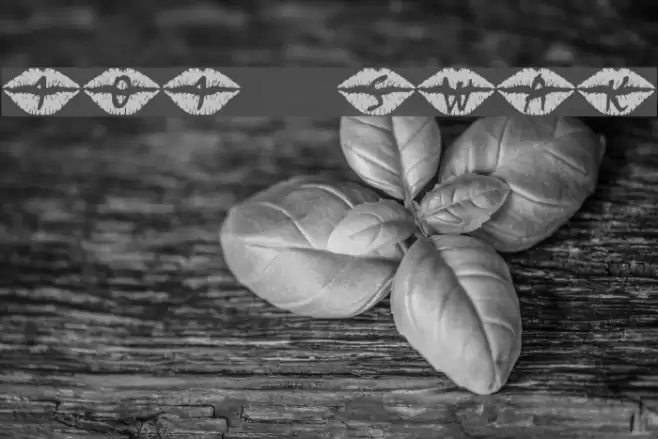 101! SWAK Fonte examples