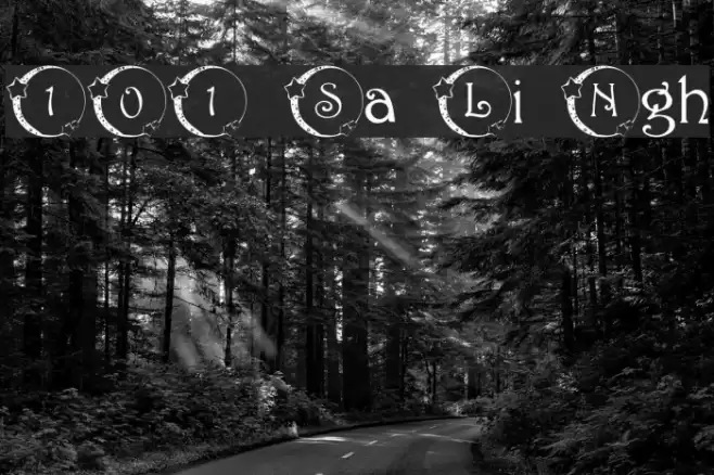 101! Star Lit Nght Schriftart examples