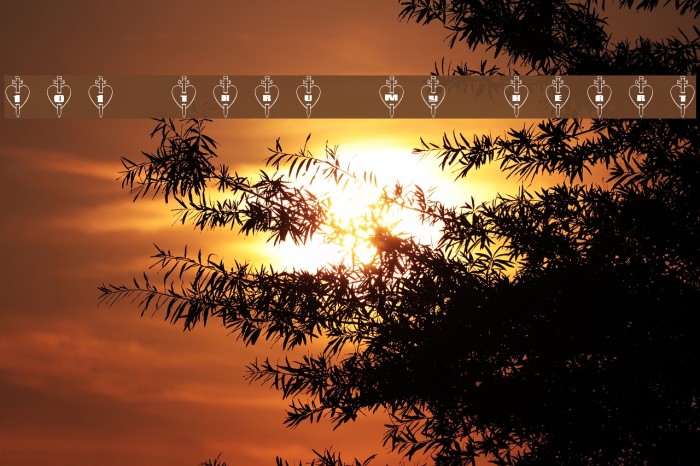 101! Thru My Heart Example 1