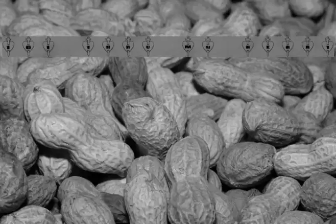 101! Thru My Heart Font examples