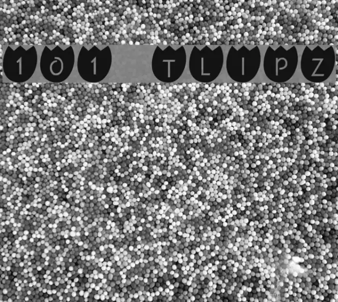 101! TulipZ Polices examples