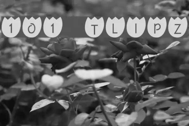 101! TulipZ Polices examples