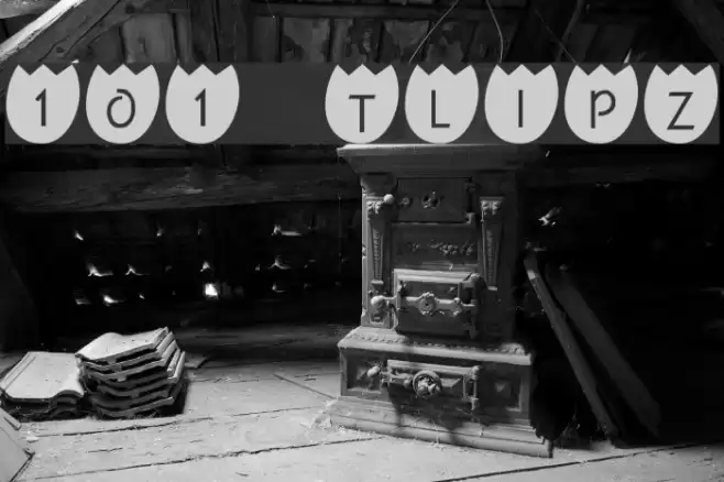101! TulipZ Polices examples