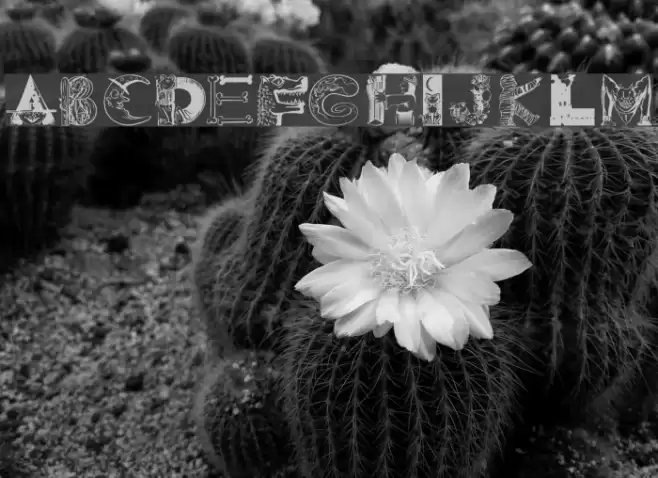 101 Ween Fuentes examples