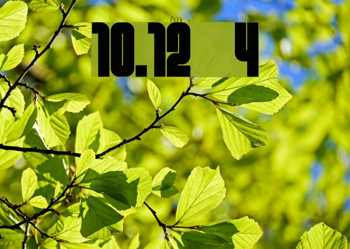 10.12 4 Font examples