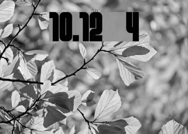 10.12  4 Font examples