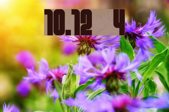 10.12 4 Font examples