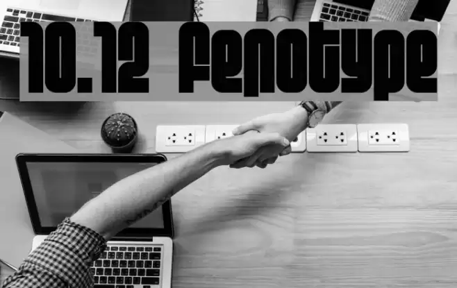 10.12 fenotype Font examples