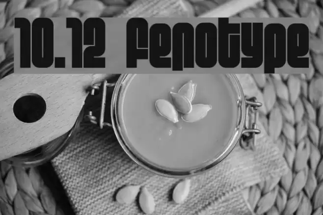 10.12 fenotype Font examples