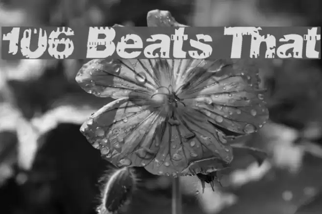 106 Beats That Caratteri examples