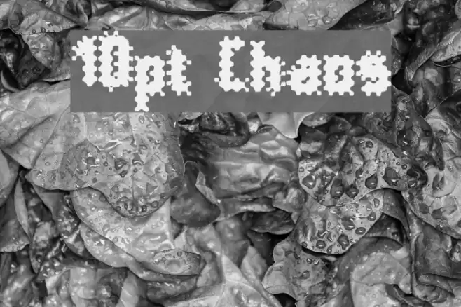 10pt Chaos Font examples