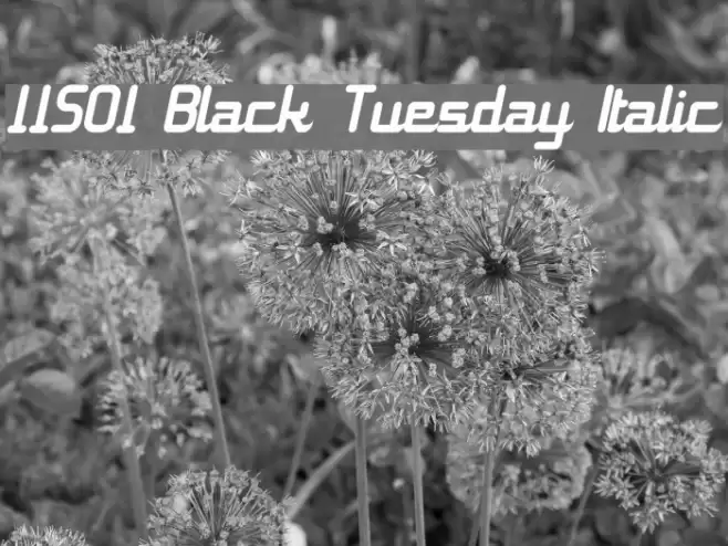 11S01 Black Tuesday Italic Polices examples