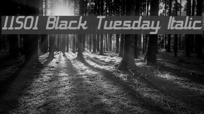 11S01 Black Tuesday Italic Polices examples