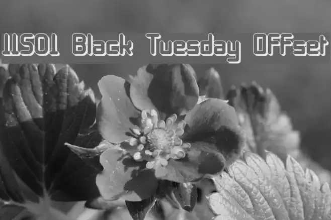 11S01 Black Tuesday Offset Font examples