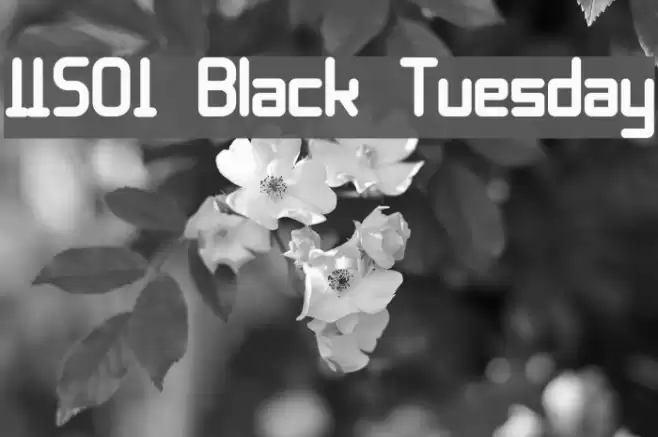 11S01 Black Tuesday 字体 examples