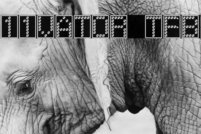 11vator tfb Font examples