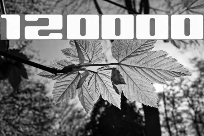 120000volt フォント examples