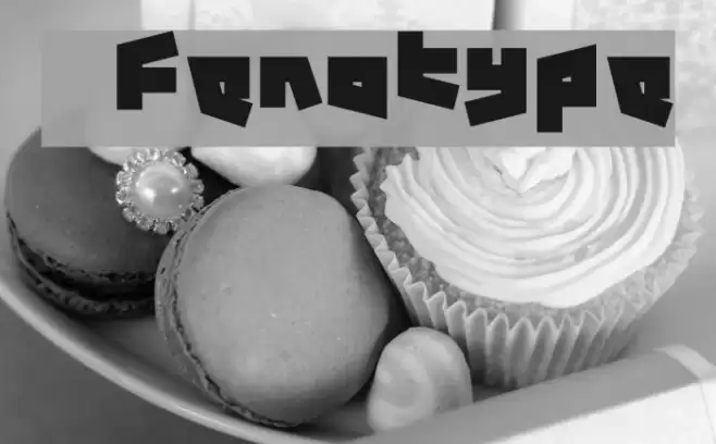 12.19 Fenotype फ़ॉन्ट examples