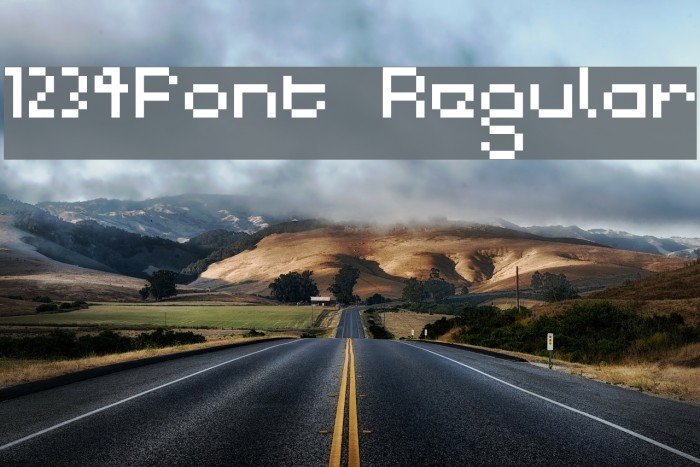 1234Font Regular Font examples