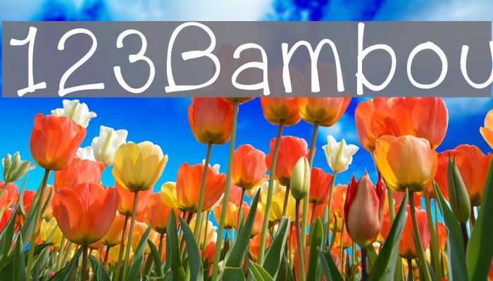 123Bambou Font examples